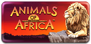 Animals of Africa