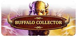 Buffalo Collector