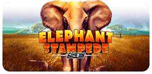 Elephant Stampede