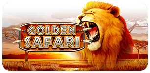 Golden Safari