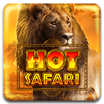 Hot Safari