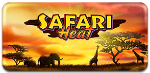 Safari Heat