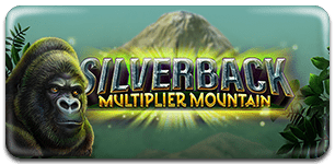 Silverback Multiplier Mountain