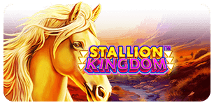 Stallion Kingdom