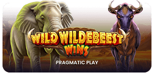 Wild Wildebeest Wins